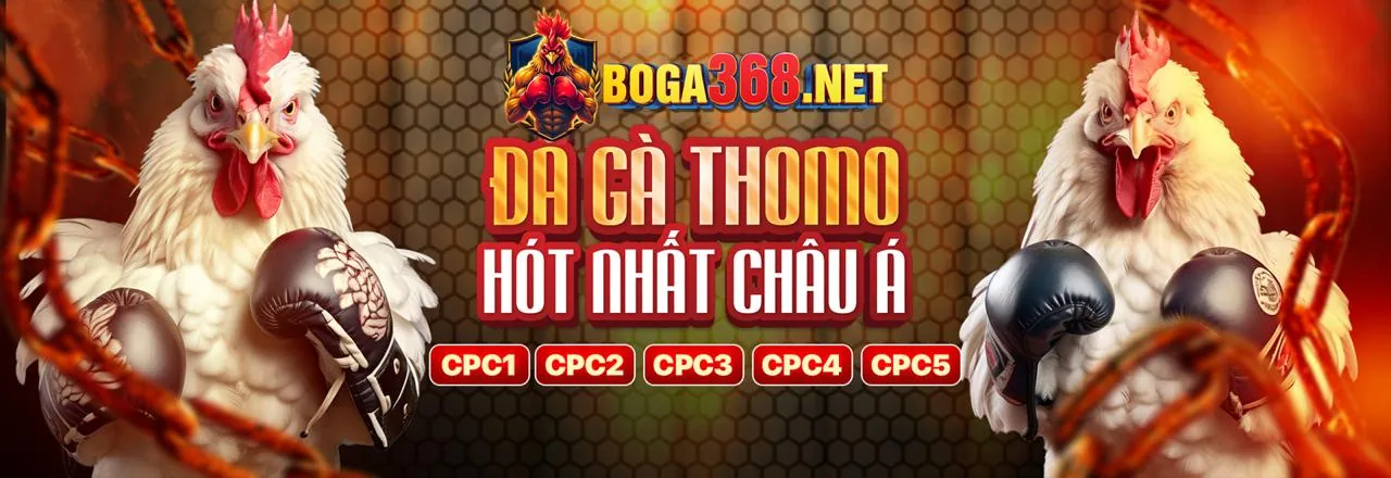 Cá cược thể thao codehi88 win